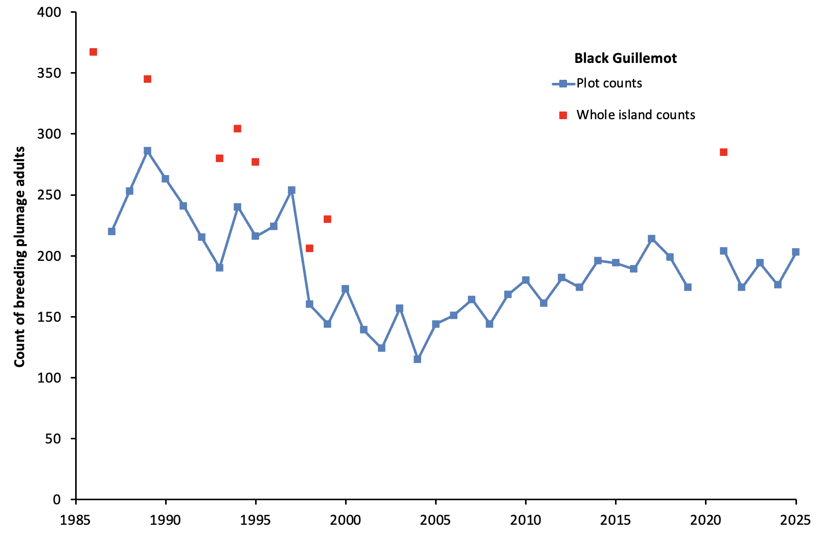 Click to expand Black Guillemot