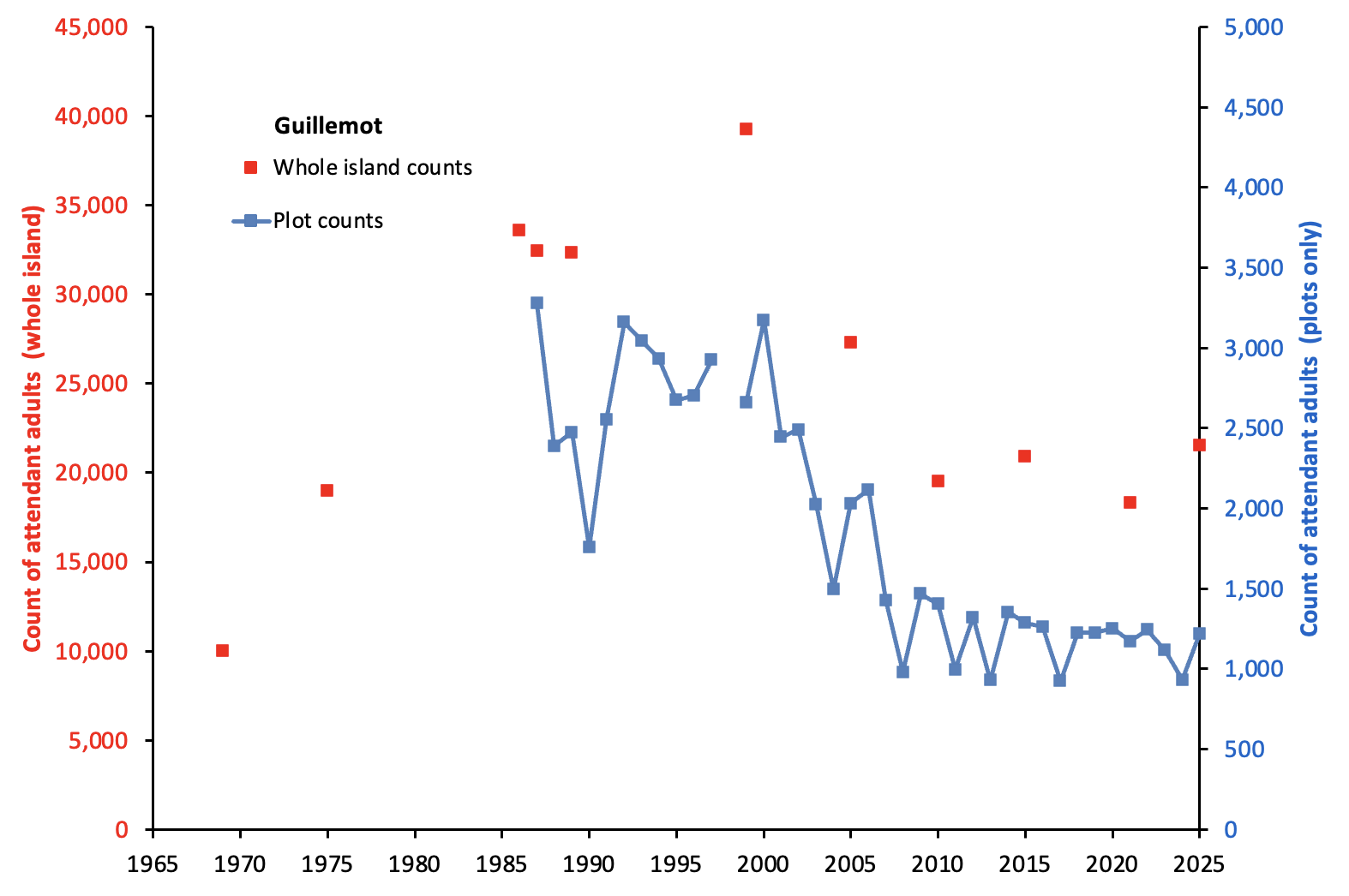 Click to expand Guillemot